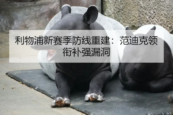 利物浦新赛季防线重建：范迪克领衔补强漏洞