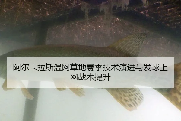阿尔卡拉斯温网草地赛季技术演进与发球上网战术提升