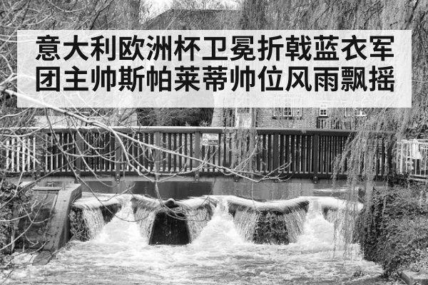 意大利欧洲杯卫冕折戟蓝衣军团主帅斯帕莱蒂帅位风雨飘摇